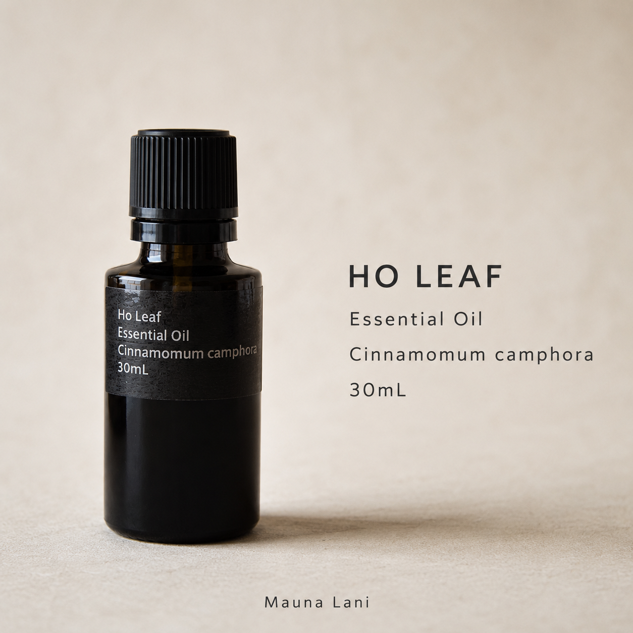 【MLメンバー価格】ホーリーフ精油 30mL