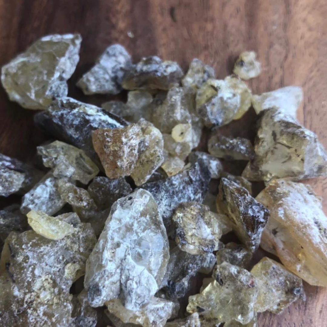 【オンラインレッスン】 アルマシガ樹脂｜フィリピン植物研究