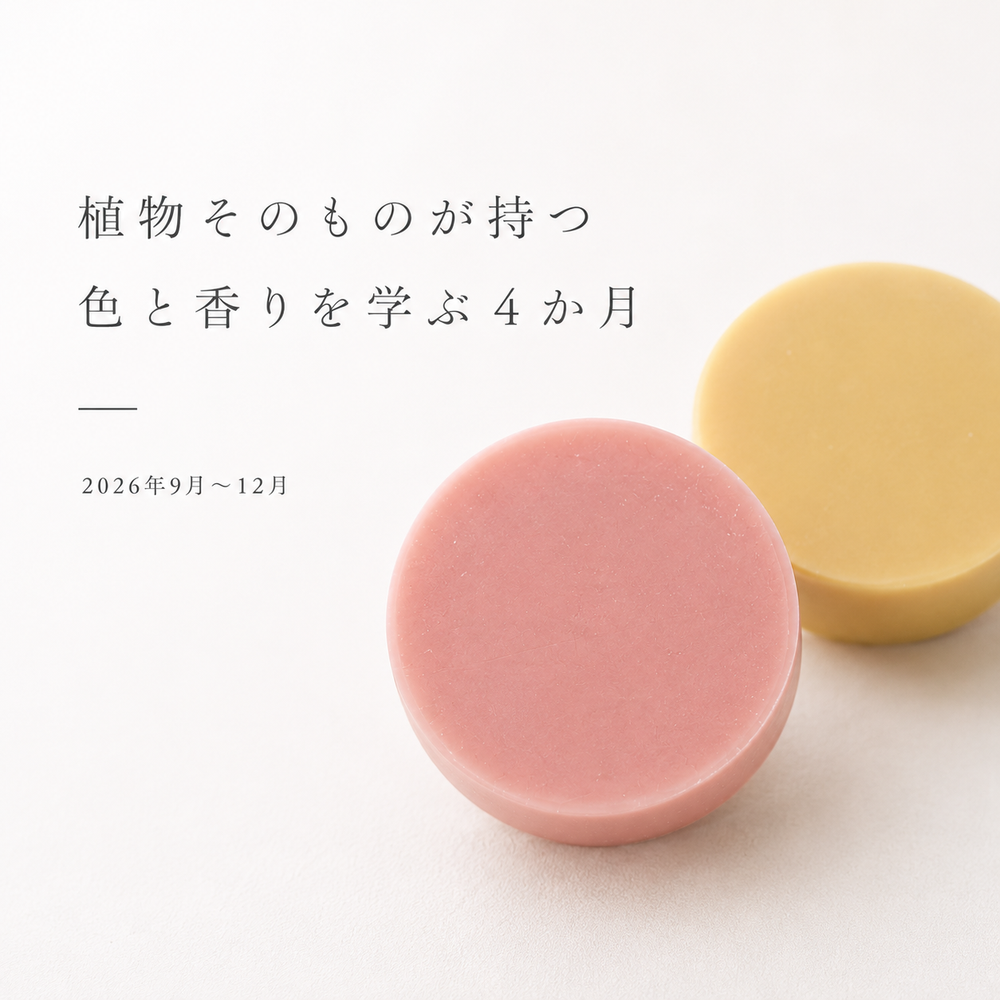 【メンバー限定】2026年9月～12月 オンラインレッスン（送料込）